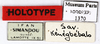 CollectionObject 1587342; MNHN(SF IMPORT DUPLICATE) MNHN-EP-EP1370, df133492-48f7-4e9e-be27-13810ab7515f: CC BY-NC-ND 4.0/MNHN - Depraetere Marion - 2014. Holotype, female, of simandouensis Grandcolas, 1995. Specimen number: MNHN-EP-EP1370. http://coldb.mnhn.fr/catalognumber/mnhn/ep/ep1370. (CollectionObject).