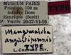 labels (holotype) - http://coldb.mnhn.fr/catalognumber/mnhn/eo/ensif799. Depicts CollectionObject 1539794; 4f128563-62e4-4e58-b329-04d6f0dc9366, a CollectionObject.