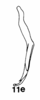 Aedeagus, lateral view on Cumora (Cumora) parallelocornis parallelocornis (Linnavuori, 1955): (Observation).