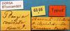 CollectionObject 1500520; f6e727fb-935c-4f6e-b0c7-8b694f6d1089: labels (holotype). (CollectionObject).