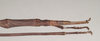CollectionObject 1558589; a45cfd83-a497-4a20-9695-2ba15312282d: copyright Natural History Museum, London. female: end of abdomen, dorsal view (paratype). (CollectionObject).