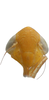 Head: !! display not done !! on Cortona minuta Oman, 1938: Head, male. (Observation).