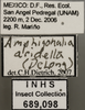 Other: !! display not done !! on Neokolla aridella DeLong, 1948: Labels. (Observation).;Other: !! display not done !! on Neokolla aridella DeLong, 1948: (Observation).