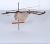 CollectionObject 1559086; 191866a6-e339-4106-8e17-5b325599de48: copyright ANSP. male, lateral view (holotype). (CollectionObject).