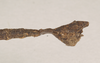 CollectionObject 1560435; dd64b8db-542d-499b-9925-069a0d78b473: copyright Natural History Museum, London. male: end of abdomen, lateral view (syntype). (CollectionObject).;CollectionObject 1560436; fb5361fa-2dec-4ea9-876a-b1c5e236ef61: copyright Natural History Museum, London. male: end of abdomen, lateral view (syntype). (CollectionObject).