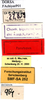 CollectionObject 1505416; 269c6ef7-d350-4a09-bea1-aab288ae9f9e: labels (paratype). (CollectionObject).