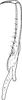 Stylus on Edwardsiana lethierryi (Edwards, 1881): Stylus (form hippocastani). (Observation).