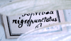 CollectionObject 1534486; c502f5fa-f03e-441e-9138-6497a997861a: label (syntype of Conocephalus nigropunctatus). (CollectionObject).