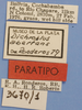 CollectionObject 1514208; MLP3670/1', 870bc60b-acea-45f4-95f4-82b69bae4946: labels (paratype). (CollectionObject).