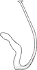 Aedeagus, lateral view on Arocephalus (Ariellus) punctum (Flor, 1861): Aedeagus, lateral view. (Observation).