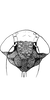 Head on Acacimenus makranus Dlabola, 1979: Face. (Observation).