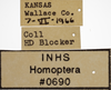 Other on Athysanella (Gladionura) emarginata (Osborn, 1930): Label - Female. Labels for female specimen. (Observation).