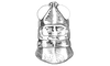Eurotettix procerus Cigliano, 2007: Fig. 5J. male head and pronotum, dorsal view. (Otu).