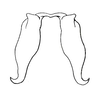 Atopotettix megalocephalus Brown, 1970: Fig. 47. male, epiphallus. (Otu).