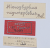 CollectionObject 1535879; b306d3e3-a283-4414-881b-fa23dbc05634: labels (lectotype). (CollectionObject).