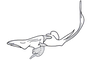 Barypygiacris hodeberti Descamps, 1979: Fig. 115. endophallus, lateral view. (Otu).