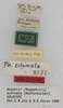 CollectionObject 1532389; NMW 3917, 78c434f4-a8af-4500-b82c-c58f0a125155: labels (holotype). (CollectionObject).