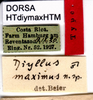 CollectionObject 1506982; 203a01b5-cc42-4525-bb39-6db640b8ec1c: labels (holotype). (CollectionObject).