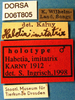 CollectionObject 1504998; f4e9555b-d4aa-4d3a-be7a-4bc0fb6ee47d, DORSA D06T805: labels (holotype). (CollectionObject).