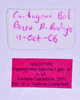 CollectionObject 1544673; 9337c35d-5284-442c-a67a-176f59e6d3da: labels (holotype). (CollectionObject).