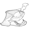 Pygofer, lateral view: Pygofer, lateral view. (Observation).