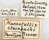 CollectionObject 1537417; 2e1c51b7-c5a3-4766-ac35-018e544d582b: labels (paratype). (CollectionObject).