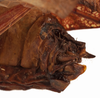 CollectionObject 1534644; f1b989ed-cea5-4dae-85be-274e548d0e82: female ovipositor (holotype of Karschia corrosa). (CollectionObject).