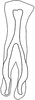 Connective: !! display not done !! on Nephotettix cincticeps (Uhler, 1896): Connective. (Observation).
