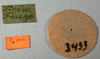CollectionObject 1513127; 5c9fa5e3-ac11-4e83-8041-042aadebb5aa: labels (lectotype of Tristira bergi). (CollectionObject).