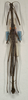 CollectionObject 1562046; NMW 1068, 1d784ef5-bf32-4083-b2e0-c90648a61225: copyright NMW, Vienna. male of synonym Sosibia dubia (lectotype). (CollectionObject).