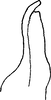 Stylus: !! display not done !! on Penthimia nigra (Goeze, 1778): Stylus. (Observation).