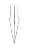 Prosthama tessellata Hebard, 1928: Plate V. Fig. 3. Female. Dorsal outline of apex of ovipositor. Paratype. (Otu).