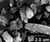 Brochosomes on Cuerna arida Oman & Beamer, 1944: CR177 | U.S.A., Arizona, Ruby | 7/13/1940 | KSEM. (Observation).