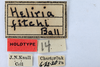 Other: !! display not done !! on Heliria fitchi Ball, 1925: (Observation).