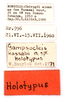CollectionObject 1475895; ea9dd328-6dbe-4dd2-b535-d6a8eeecc279: labels (holotype of Gampsocleis kaszabi Bazyluk, 1972). (CollectionObject).