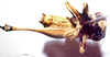 CollectionObject 1516541; NNM 3225229, f42e48b3-0e75-43e7-be4d-a065272784d0: male ventral view. (CollectionObject).