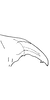 Pygofer appendages on Coganoa cogani Dworakowska, 1976: Pygofer dorsal appendage. (Observation).