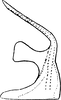 Aedeagus, lateral view on Paradorydium (Paradorydium) lanceolatum (Burmeister, 1839): Aedeagus, lateral view. (Observation).