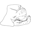 Pygofer, lateral view on Anufrievia jinghongensis Cao & Zhang, 2018: Pygofer, lateral view. (Observation).