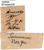 CollectionObject 1502476; 7c344548-1a7e-4e26-bc00-4e61cede82a1: labels. (CollectionObject).