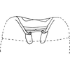 Abdomen, sternal apodemes, ventral view on Arboridia (Arborifera) changlingensis Jiang, Luo & Song, 2021: (Observation).