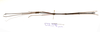 CollectionObject 1595829; 38b250cd-d093-47d4-88bf-1061c3113122: copyright LKCNH Singapore. male, dorsal view (paratype). (CollectionObject).