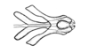 Neuquenina fictor (Rehn, 1943): Fig. 45. cingulum and endophallus, dorsal view. (Otu).