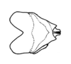 Maculiparia annulicornis (Stål, 1873): Fig 63D. phalic complex, dorsal. (Otu).