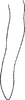 Anal tube processes on Dapitana robusta Mahmood, 1967: Anal tube processes. (Observation).