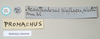 CollectionObject 1560285; c42665e7-922a-4a4e-bc70-12928f7e520e: copyright Natural History Museum, London. female, data labels (syntype). (CollectionObject).;CollectionObject 1560286; 3e34dd6f-f719-45b4-b973-e3a6199c4aaf: copyright Natural History Museum, London. female, data labels (syntype). (CollectionObject).