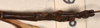 CollectionObject 1558184; b8e4626d-36d1-43d6-b262-6f9091c6c039: copyright OUMNH. male: end of abdomen, dorsal view of Ctenomorpha marginipennis (lectotype). (CollectionObject).
