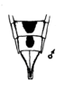 Terminalia, in situ on Caribovia constans (Walker, 1858): (Observation).