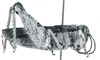 Fig. I. female, lateral view. Depicts Acoryphella zonata Giglio-Tos, 1907, an Otu.