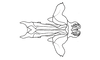 Costalimacris neotropica Carbonell & Campos Seabra, 1988: Fig. 6. phallic complex without epiphallus, dorsal view. (Otu).